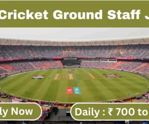 ipl cricket jobs